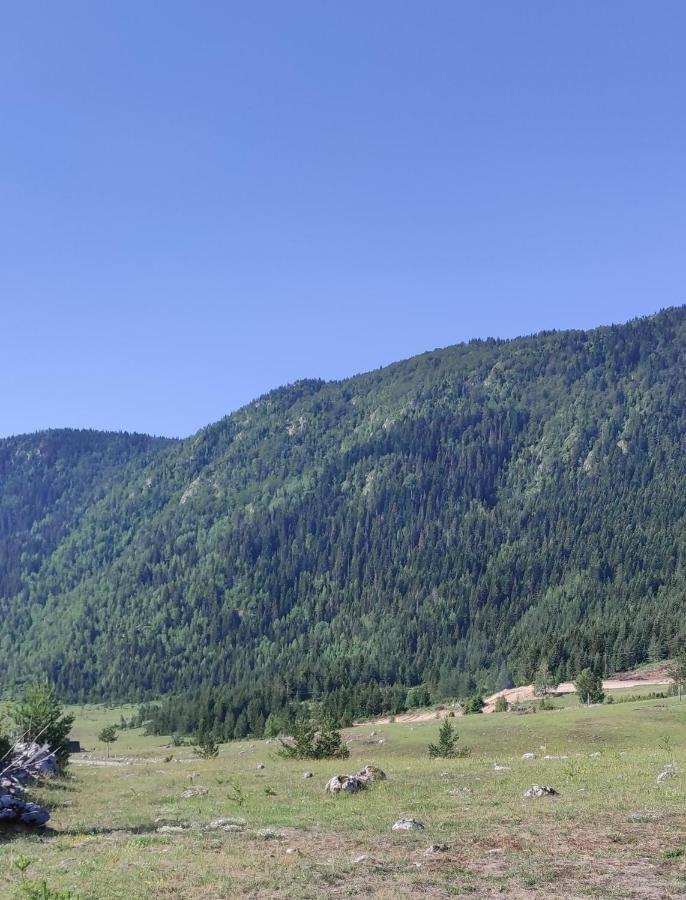 Mountain Peace Cottage Zabljak  Exterior photo