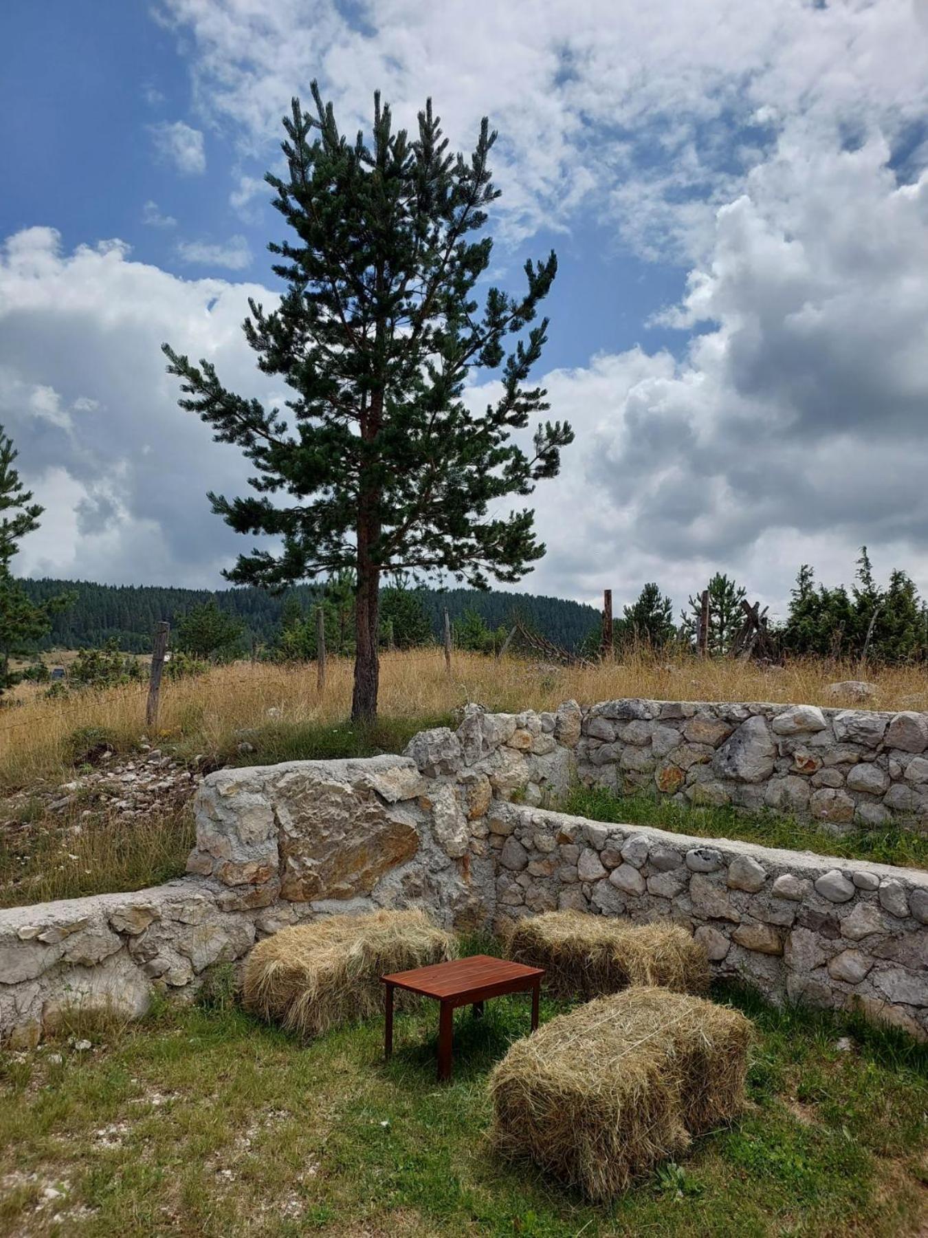 Mountain Peace Cottage Zabljak  Exterior photo